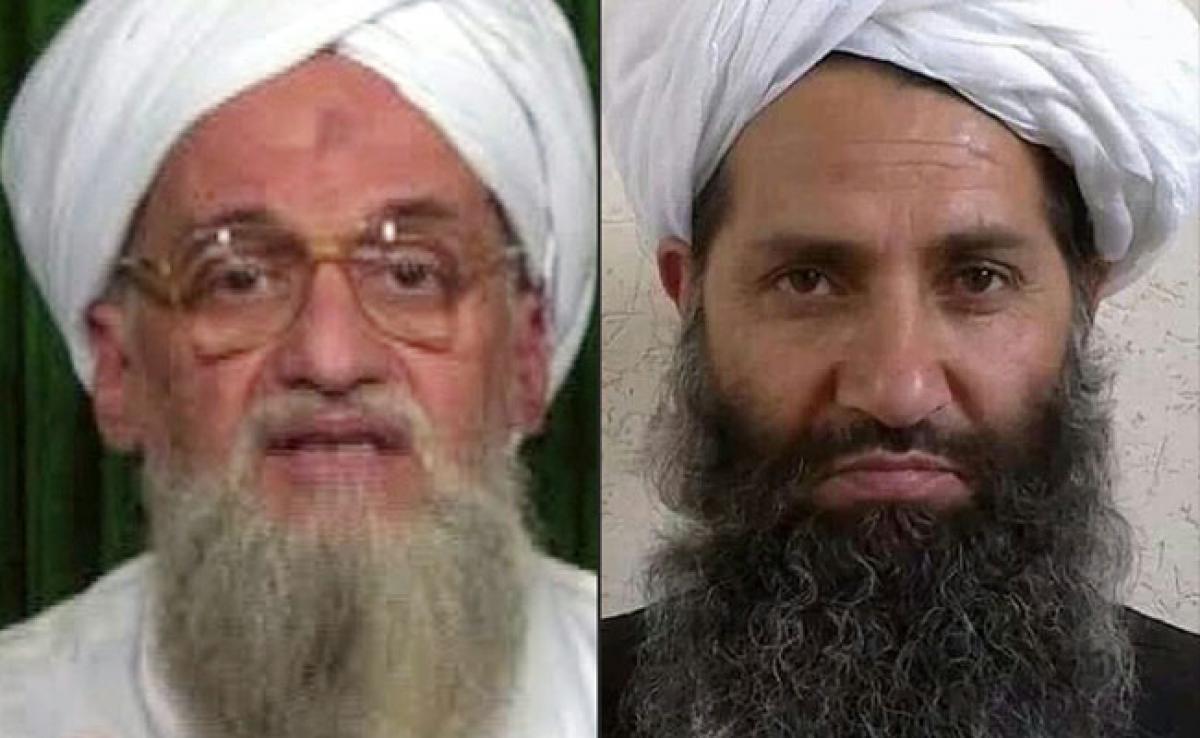 Al Qaeda Chief Backs New Taliban Head As Emir Of Believers